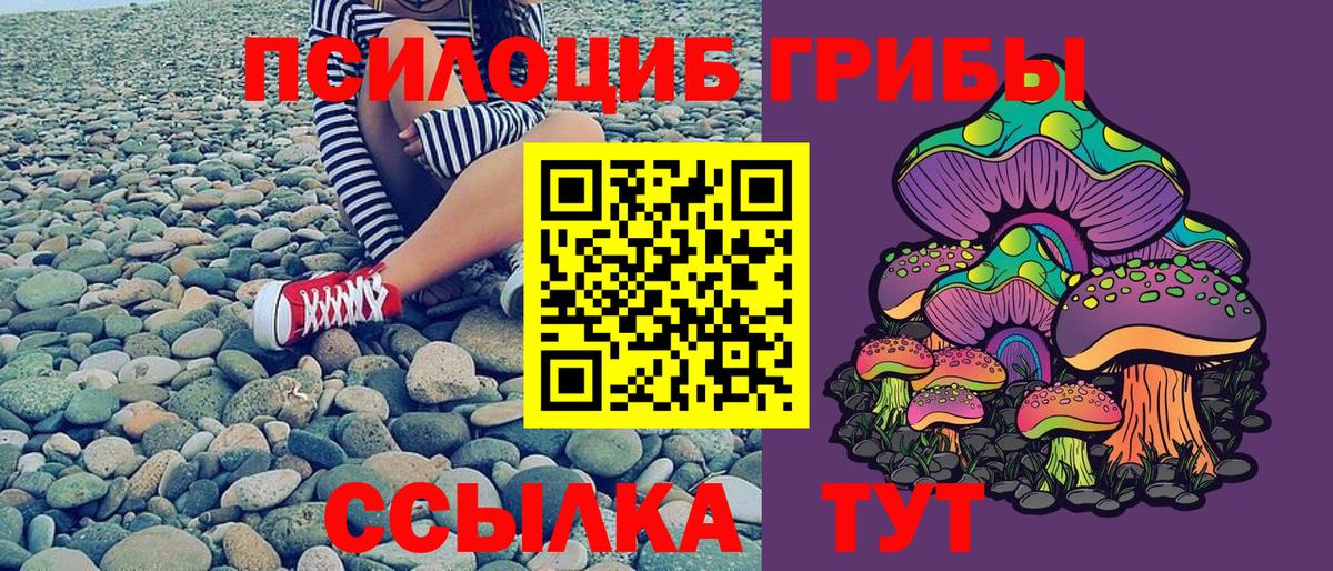 дарнет шоп  Вход с VPN  Луга  Галлюциногенные грибы ЛСД  Галлюциногенные грибы MAGIC MUSHROOMS 