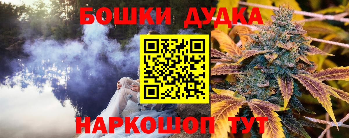 Бошки Шишки сатива Луга